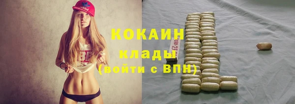 СК Абинск