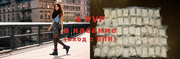 СК Абинск