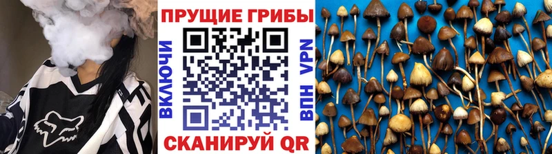 Галлюциногенные грибы прущие грибы  цена   Зея 